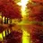 Rising_Son