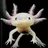 AsynchronousAxolotl
