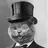 mattchatalot