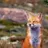 Slyfox
