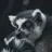 SeanDIdgeridoo1996