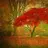 AutumnHope