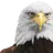 BrandonKastning