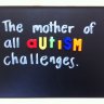 The Mother of All Autism Challenges