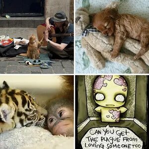 aww