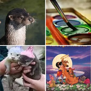 My favorite miscellanious things