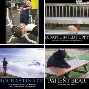 Some of my favorite Memes