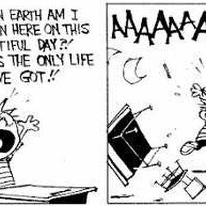 Calvin and Hobbes strip of the day