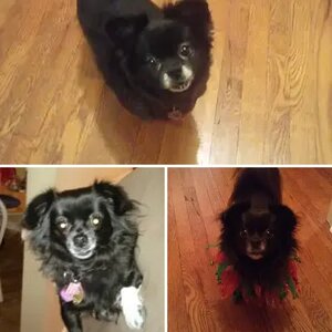 Lilly