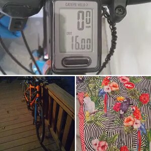 cycling pictures