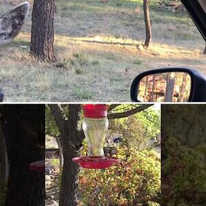 Trip to southern NM