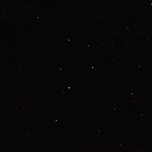 IMG 1839