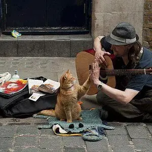 kitty and guitarist