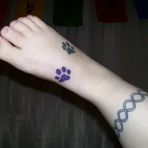 pawprints