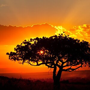 African landscape sunset by catman suha1