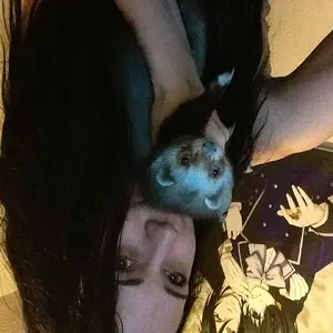 Oh my god -.- now this ones upside down -.- this is when I tueprned my ferret Louis blue wi food coloring :3