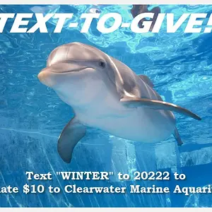 19290 470270056344182 963404281 n