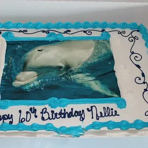 526117 539221649434334 179233049 n
Happy 60th Birthday Nellie!