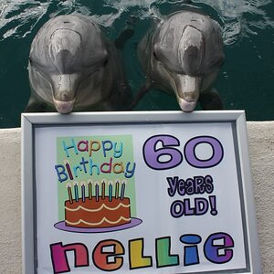 555430 10151474629044742 392724641 n
Happy 60th Birthday Nellie!
