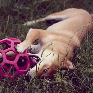Lazy Play