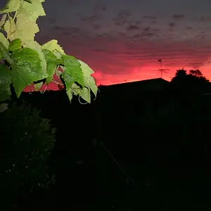 Sun rise this morning