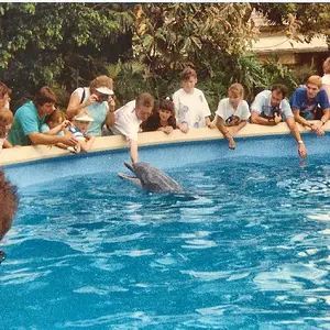 Seaworld 88'