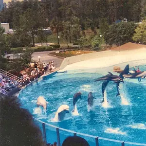 Seaworld 88'