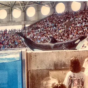 Seaworld 88'