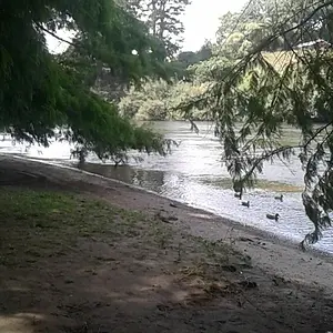 Waikato River