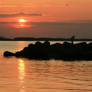 Fisherman by the sea by my house.