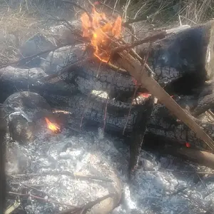 Bonfire