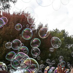 Bubbles--Autumn Festival 2018