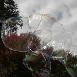 Bubbles--Autumn Festival 2018