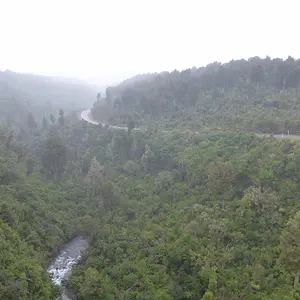 Road--Wellington Trip 2018