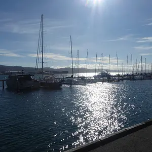 Boats--Wellinton Trip 2018