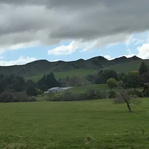 Scenery--Wellington Trip 2018