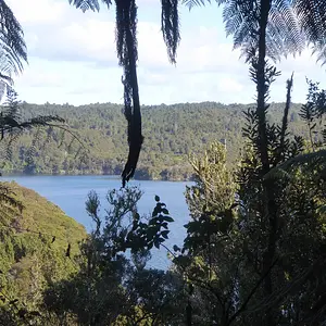 On a Weird Peninsula---Lake Okataina