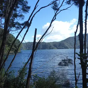 The First Clearing---Lake Okataina