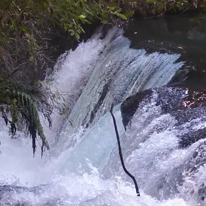 Water Fall---Lake Okataina