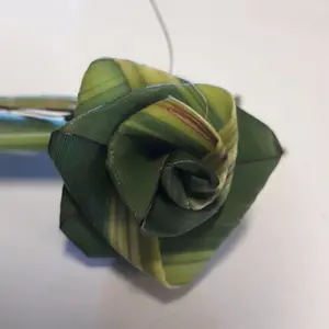 Flax Roses--Getting One With Nature In Geography