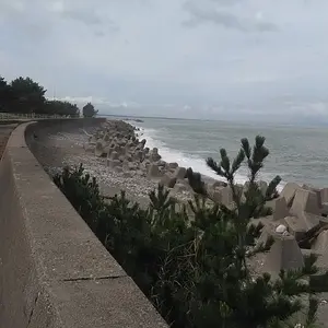 Bike trail view!