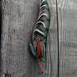 Squid lure bonus catch.