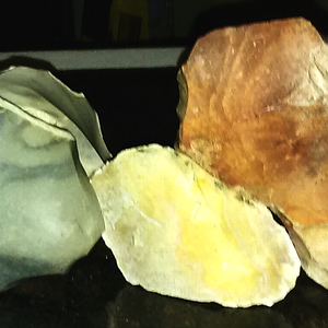 Chert Examples 02