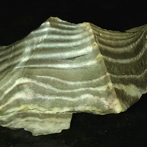 Favorite Chert 01-B