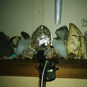 Display Shelf View 02