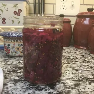 Beautiful pickled red cabbage