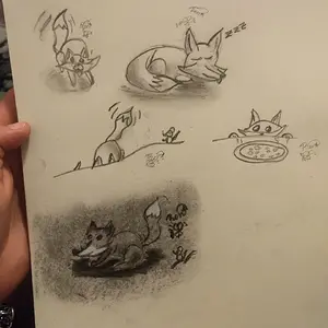 Page of Foxes