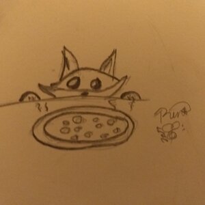 Fox after Pizza