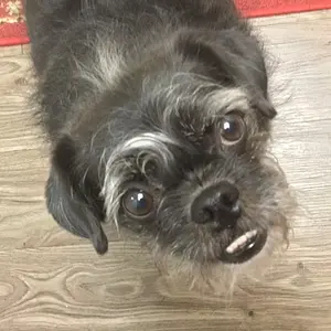Perfect underbite