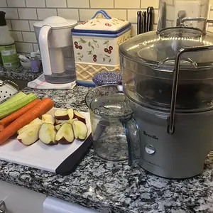 Breville Juicer, my old friend...